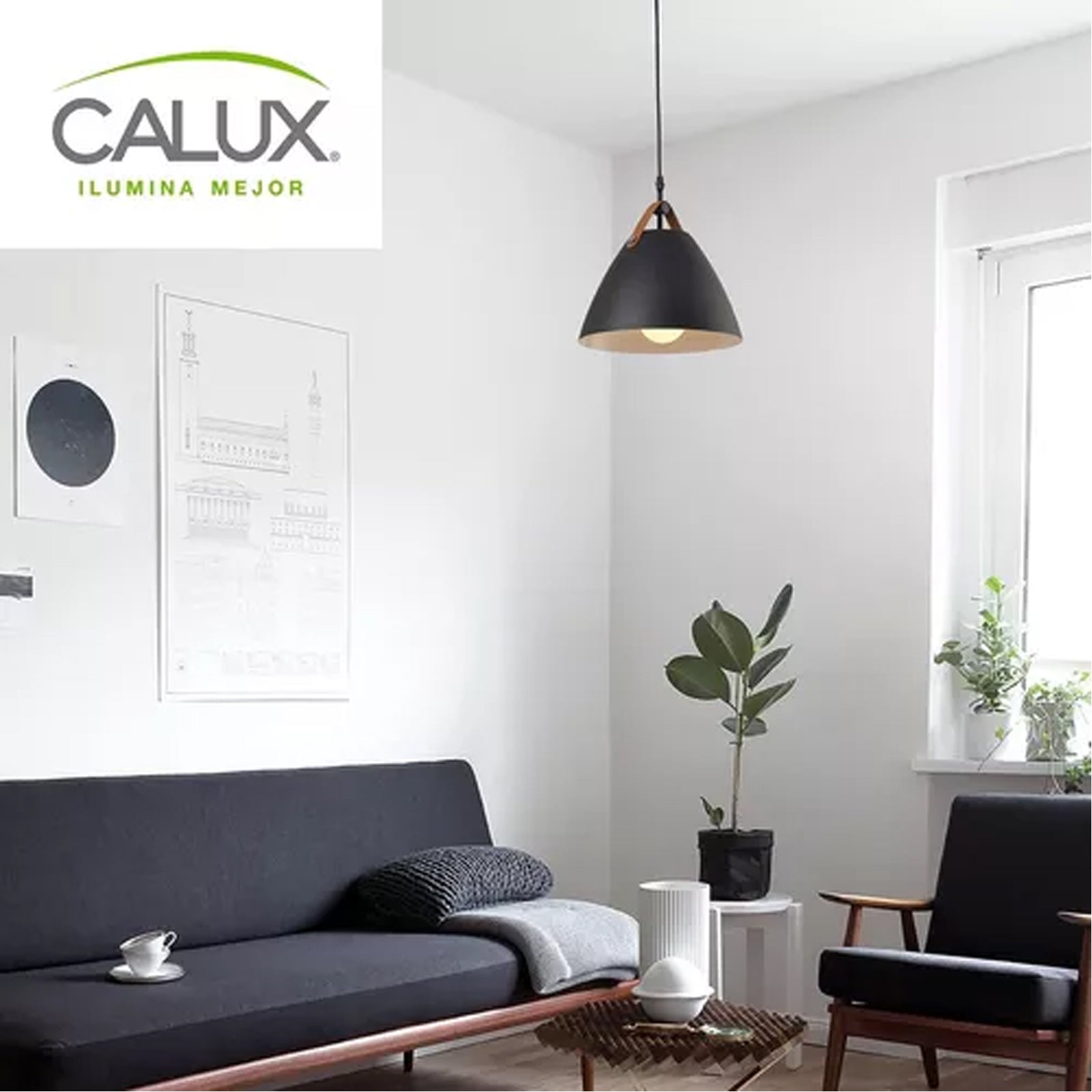 Lámpara Colgante Acero Negro 40W Max E27 – C227/NE Calux