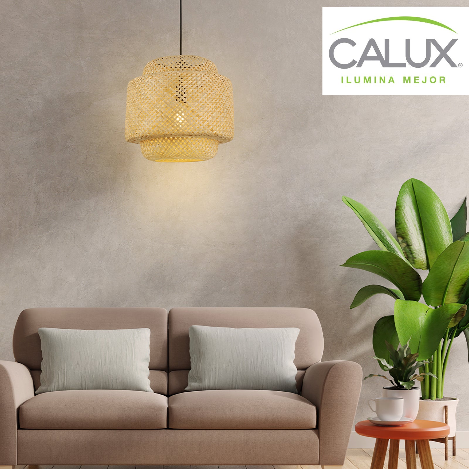 Lámpara Colgante C810/BMB Techo Base E27 Estilo Moderno – Calux