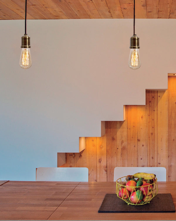 Luminario Colgante COPO Socket  Estilo Moderno en Dorado Cepillado 1 XE26 - MAXXI