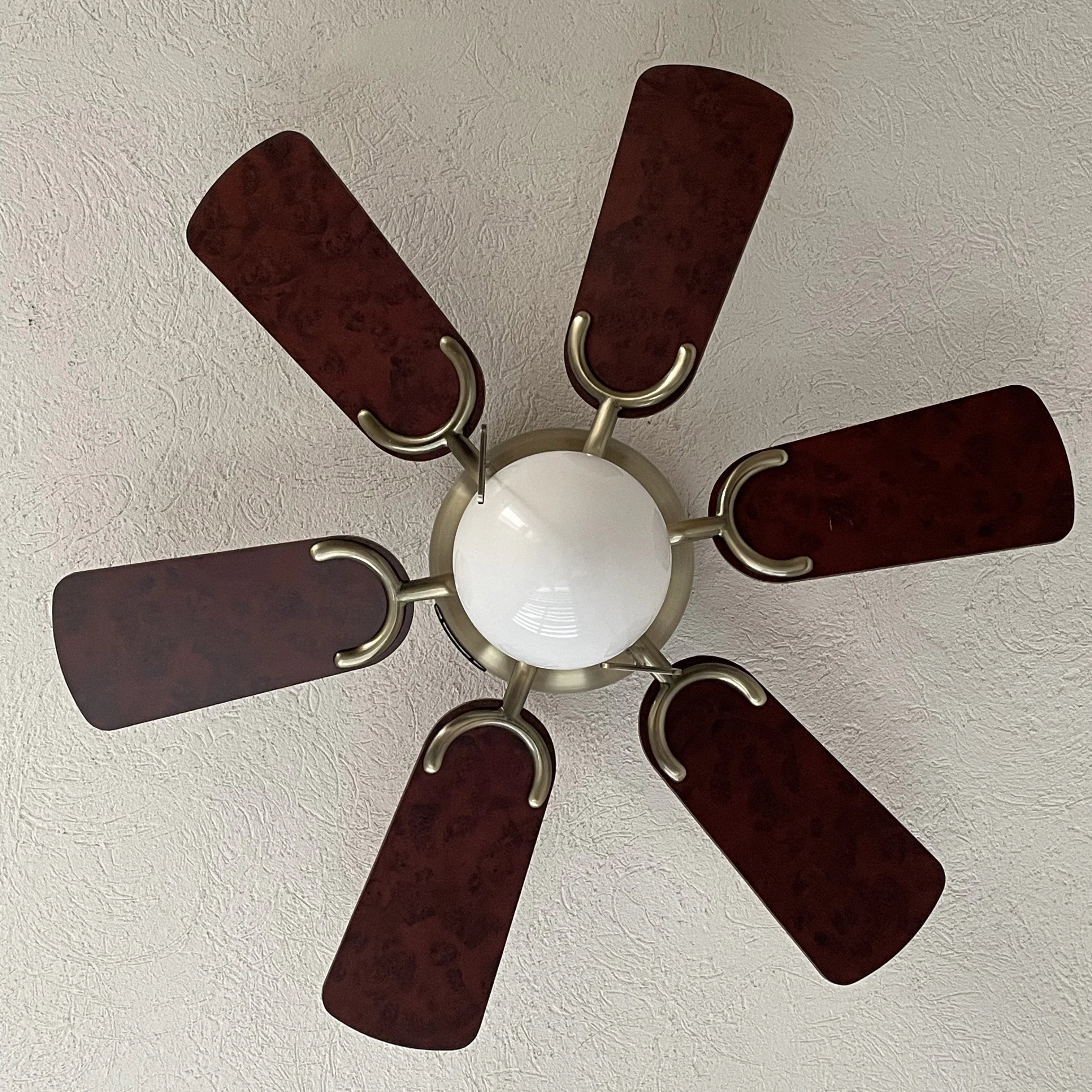 Ventilador de Techo Petit 30" Satinado 6 Aspas – Masterfan